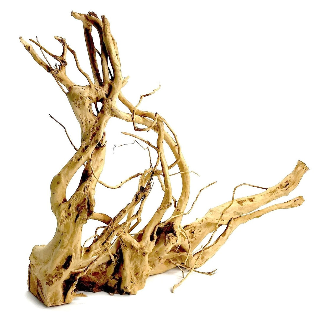 WOOD ROOT - XXL / 60-80CM / PC - Shopivet.com