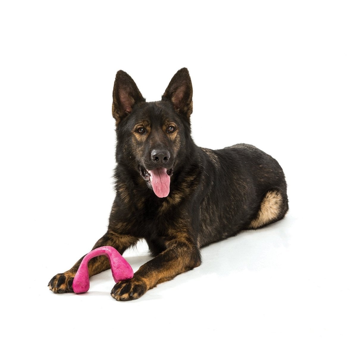 Wox Dog Toy - dandelion - Shopivet.com