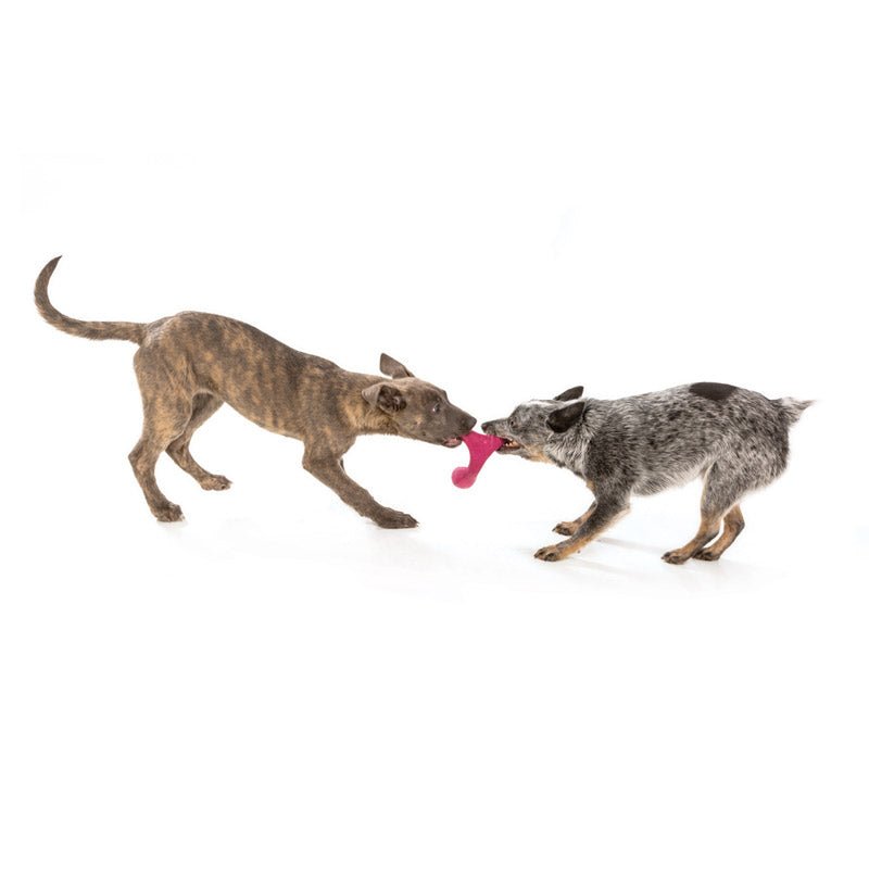 Wox Dog Toy - dandelion - Shopivet.com