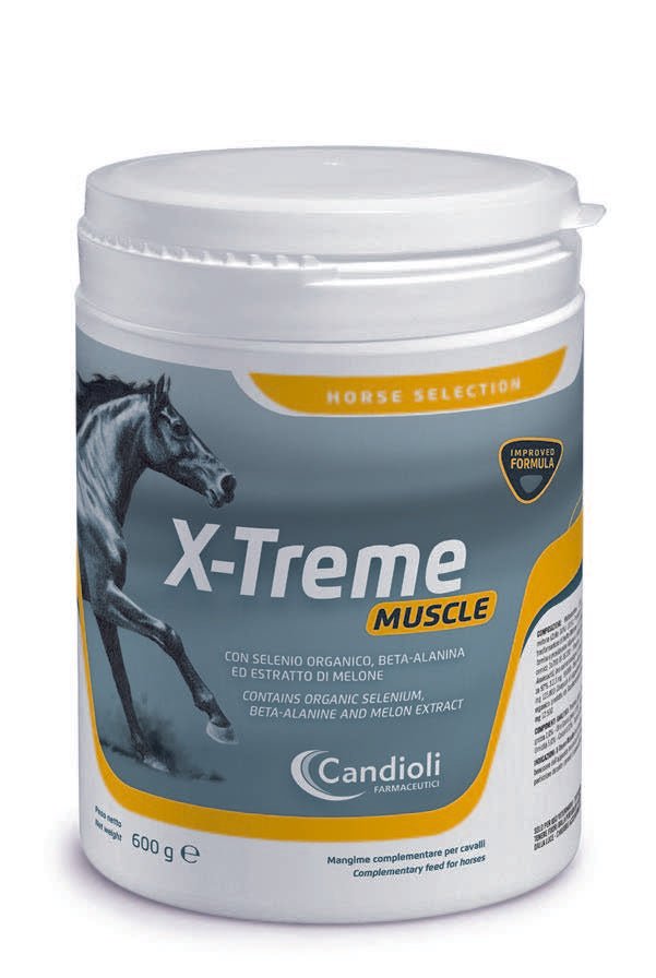 X - Treme Muscle 600 g - Shopivet.com