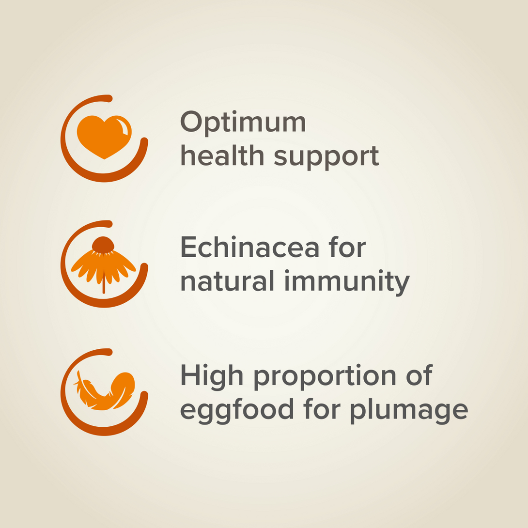 XtraVital Large Parakeet - 1 kg