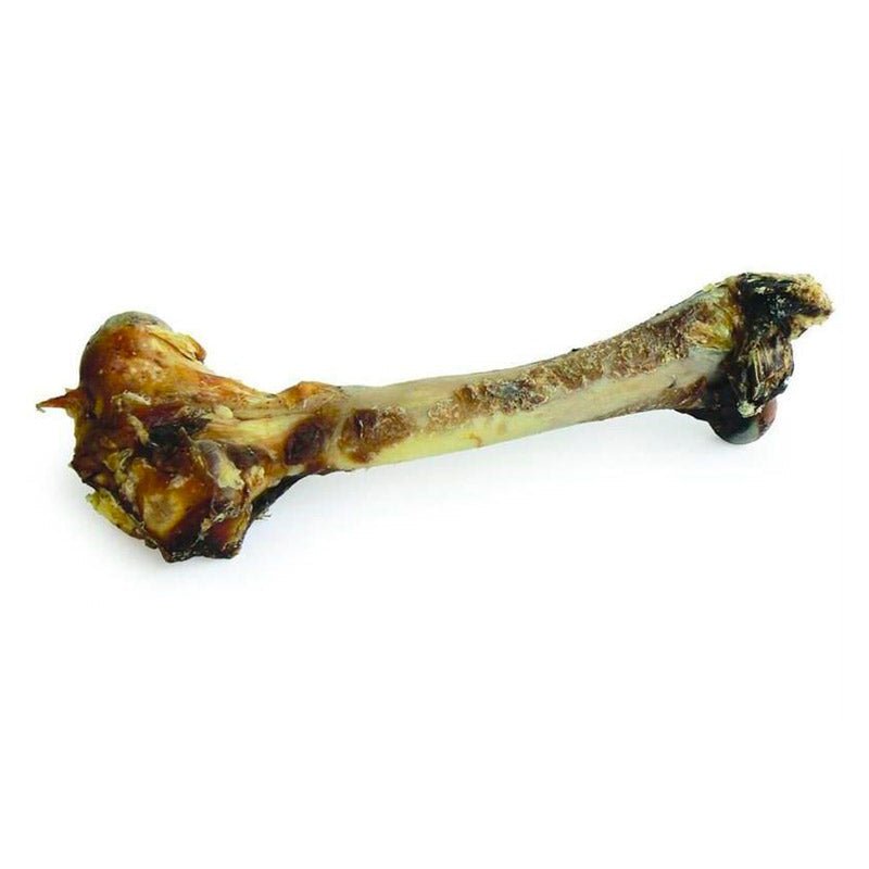 Zeal Whole Venison Shanks 700gms (1pcs) full bone - Shopivet.com