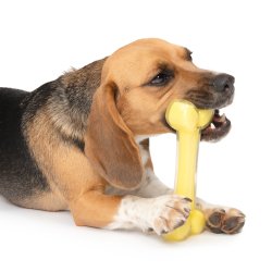 Zeus Duo Bone, 18cm, Yellow, Coconut Scent - Shopivet.com