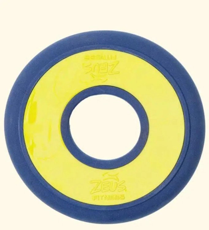 Zeus Fitness Fetch Disc, 23cm dia - Shopivet.com