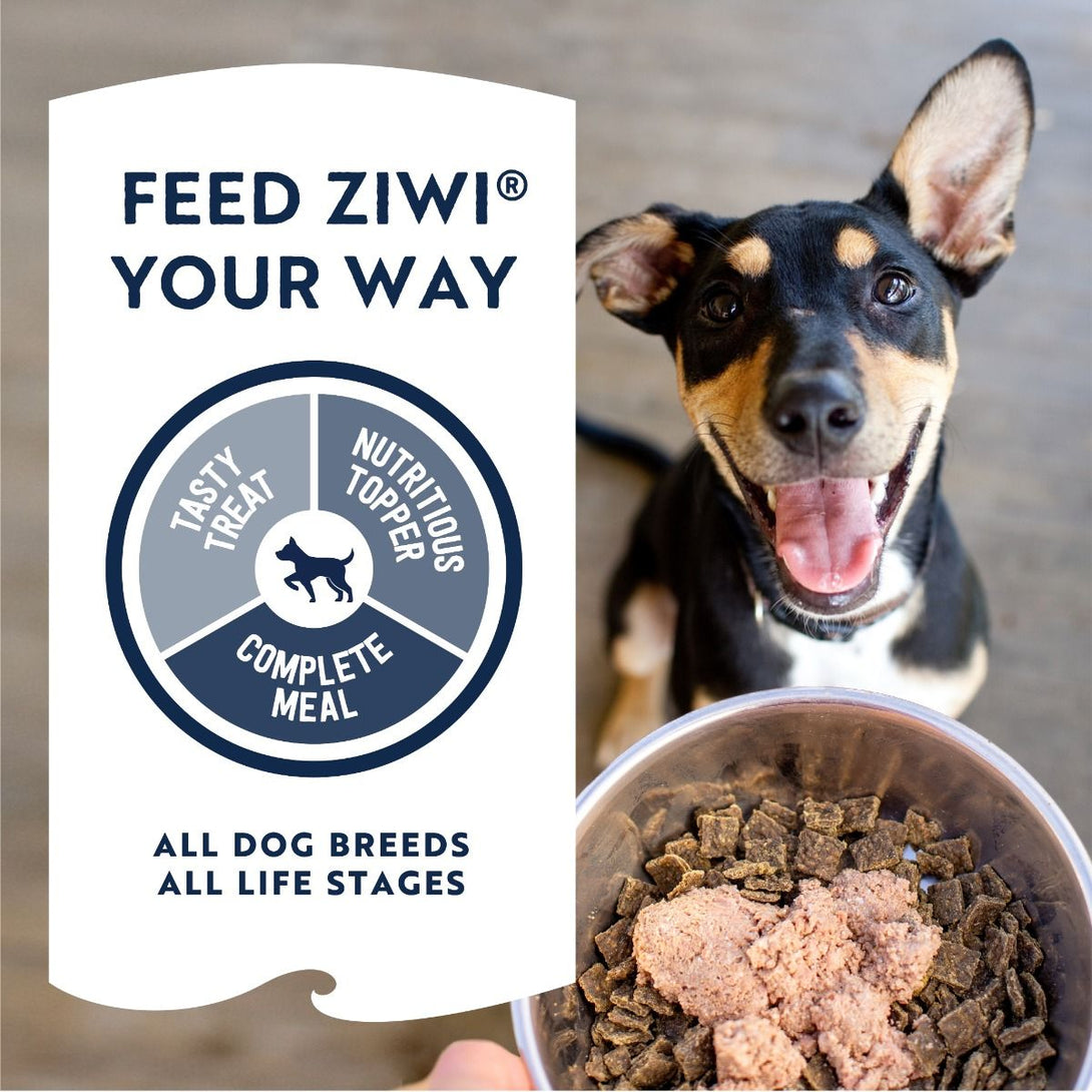 ZIWI Peak Beef Recipe Wet Dog Food - 390G - Shopivet.com