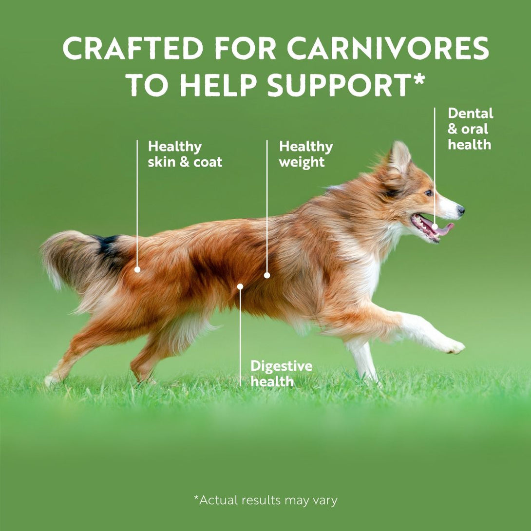 ZIWI Peak Beef Recipe Wet Dog Food - 390G - Shopivet.com