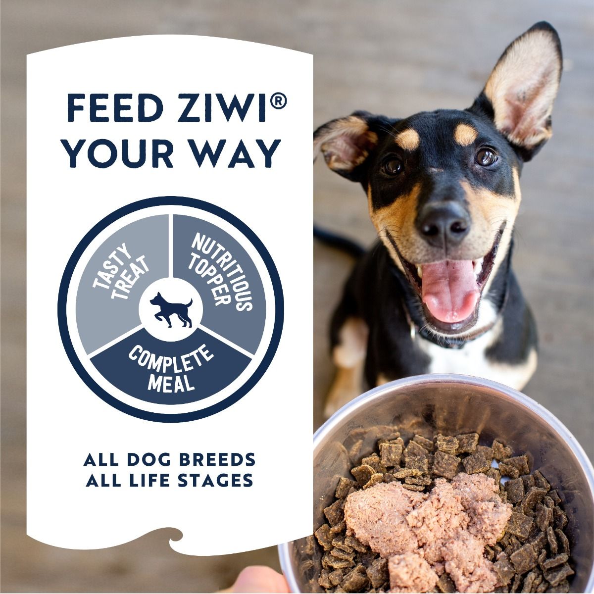 ZIWI Peak Lamb Recipe Wet Dog Food - 170G - Shopivet.com