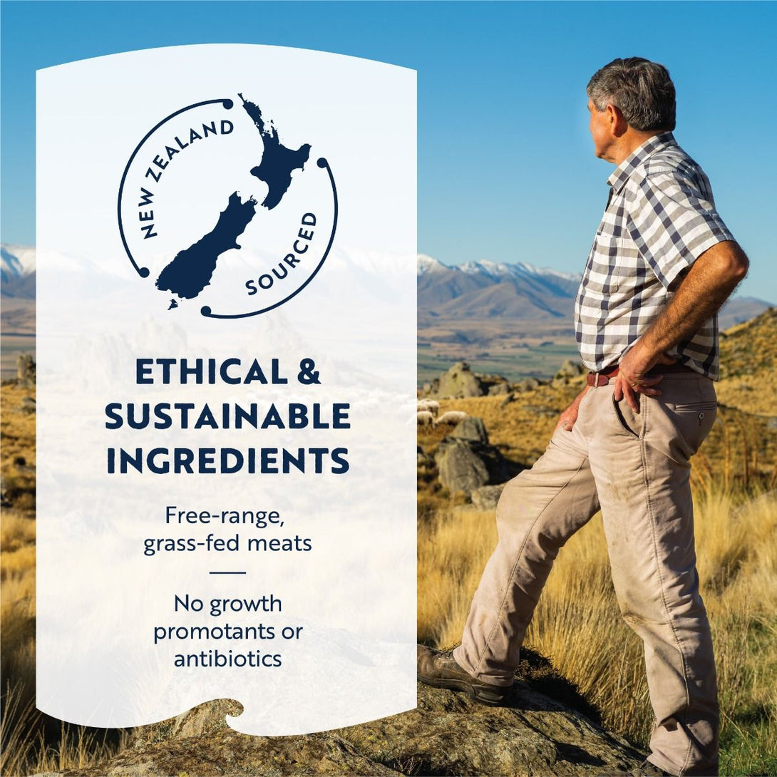 ZIWI Peak Lamb Trachea Dog Treats 60g - 60G - Shopivet.com