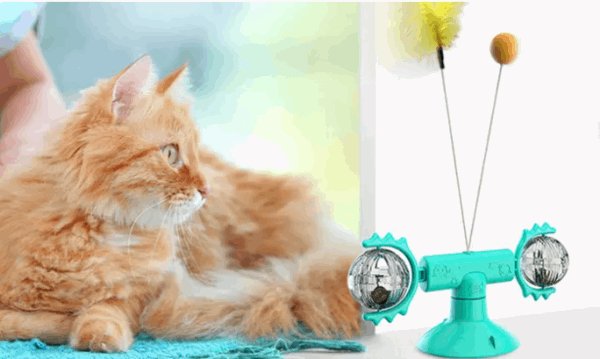 360 Rotating Windmill Cat Toy with Suction Cup - Shopivet.com