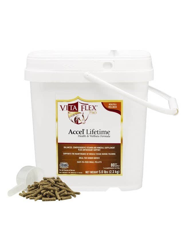 Accel Lifetime 2.3 kg - Shopivet.com