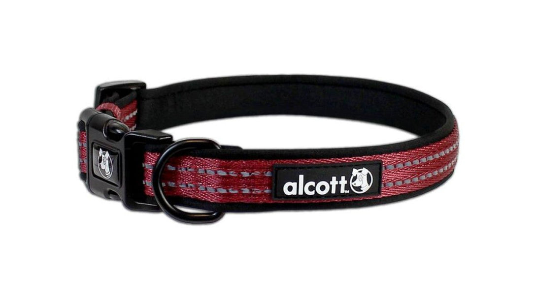 Adventure Collar - Large - Shopivet.com