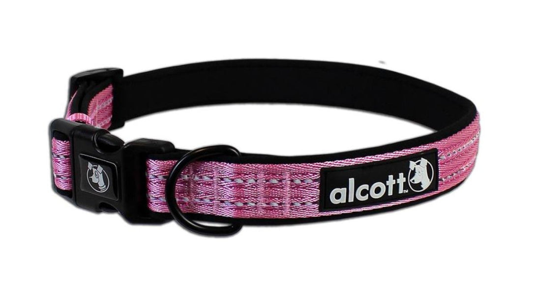 Adventure Collar - Large - Shopivet.com