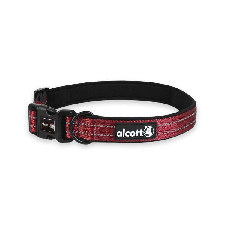 Adventure Collar - Xl - Shopivet.com