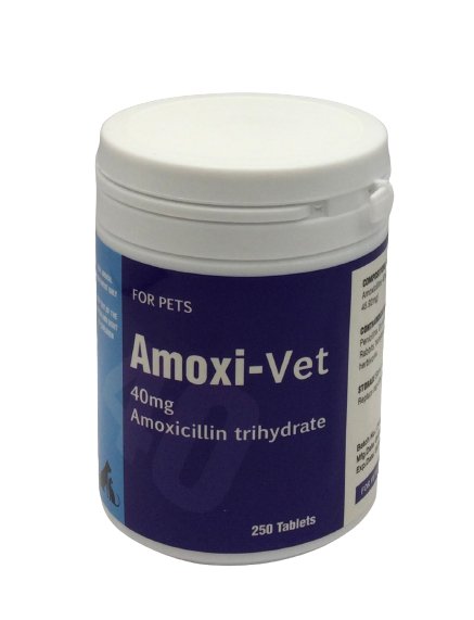 Amoxi-Vet 250 Tabs - Shopivet.com