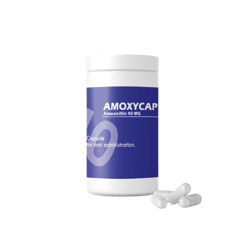 AMOXYCAP - Shopivet.com