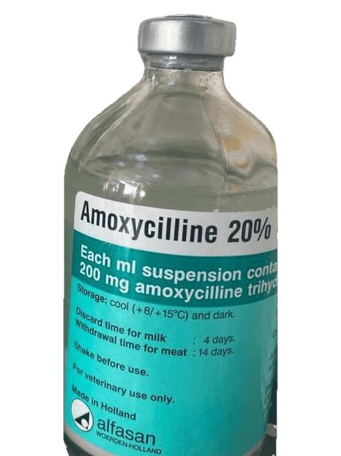 Amoxycilline 20% - Shopivet.com