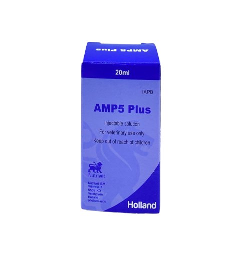 AMP 5 PLUS 20ml - Shopivet.com