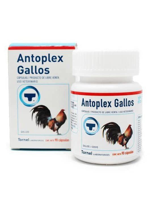 Antoplex Gallos 90 Capsules - Shopivet.com