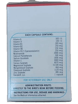 Antoplex Gallos 90 Capsules - Shopivet.com
