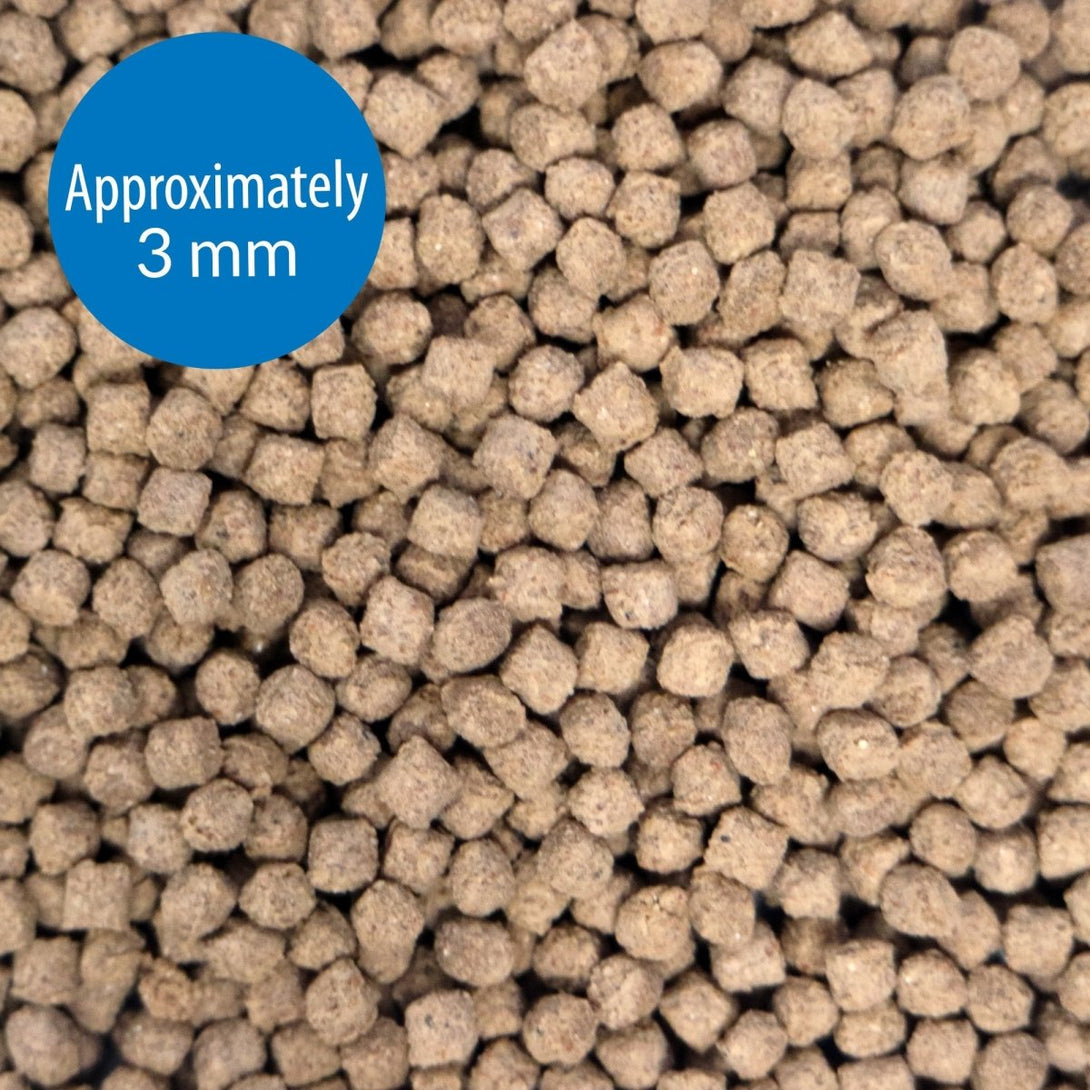 API BOTTOM FEEDER PELLETS WITH SHRIMP, 1.05 OZ - Shopivet.com