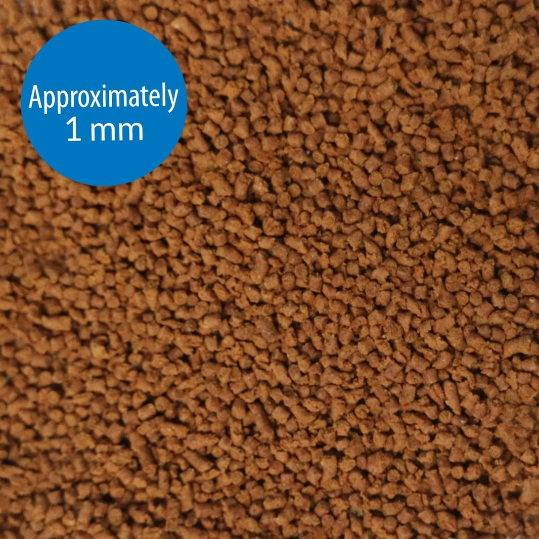 API MINI PELLETS TROPICAL FISH FOOD, 1.7 OZ - Shopivet.com