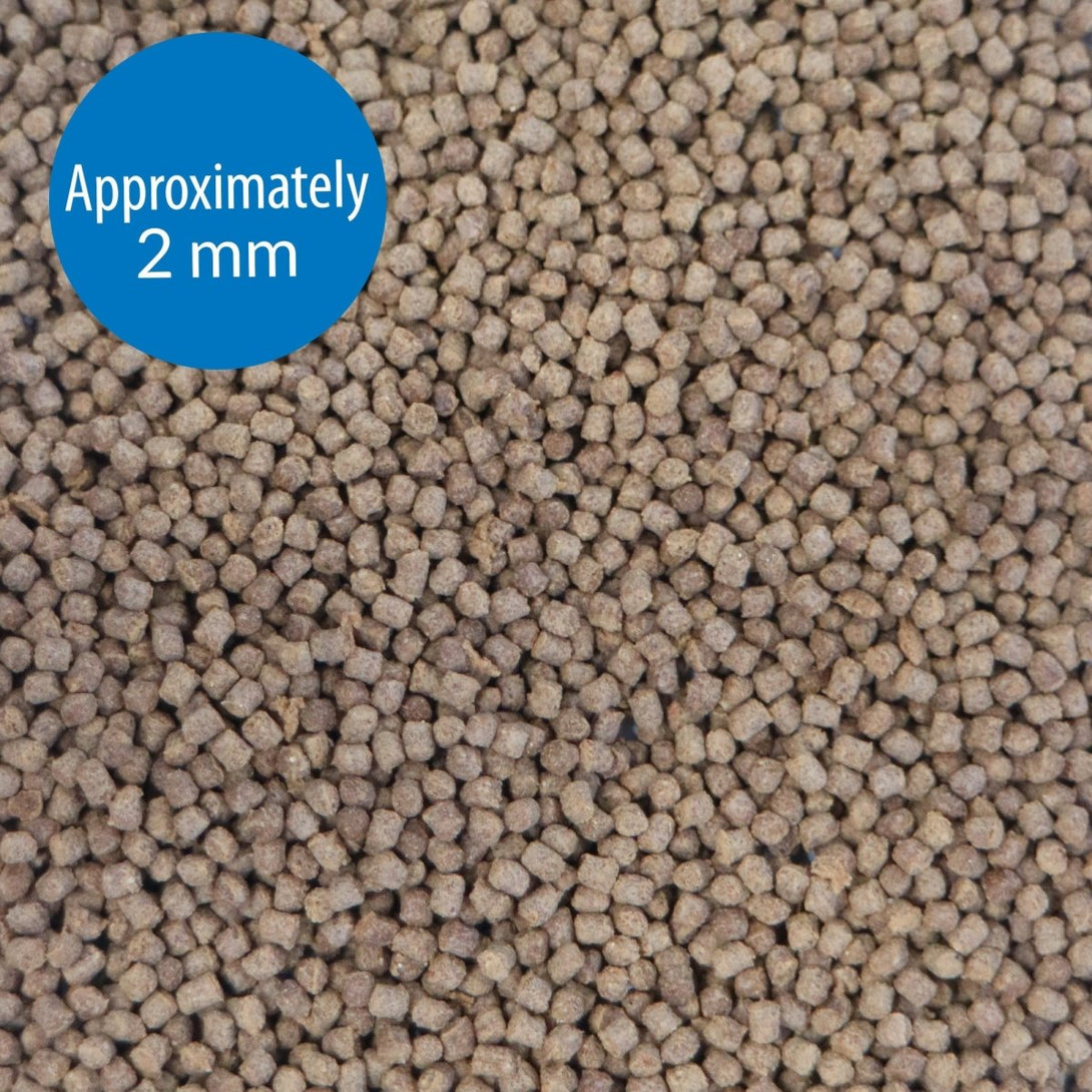 API PELLETS CICHLID FISH FOOD, 2.5 OZ - Shopivet.com