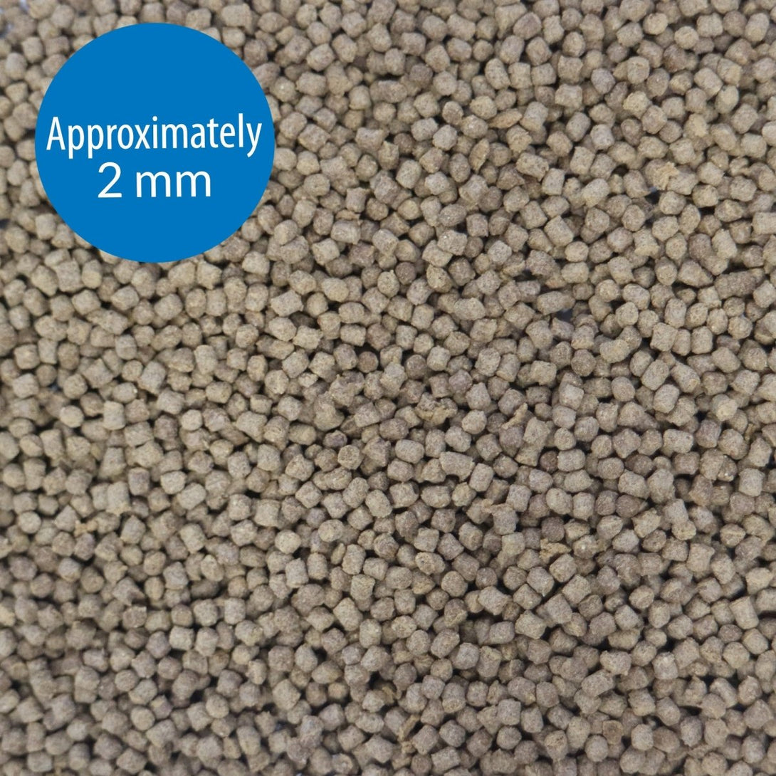 API PELLETS TROPICAL FISH FOOD, 1.6 OZ - Shopivet.com