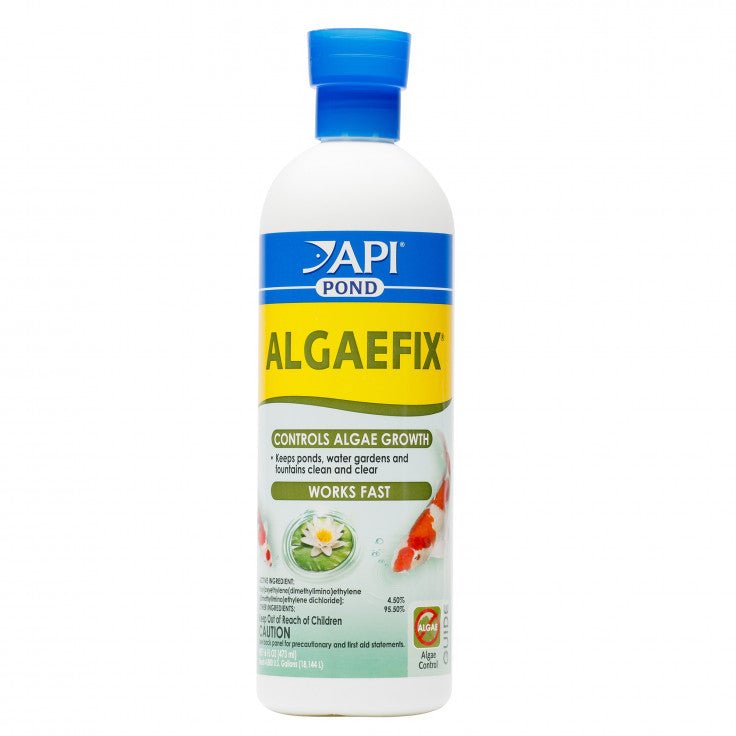 API POND ALGAEFIX, 16 OZ - Shopivet.com