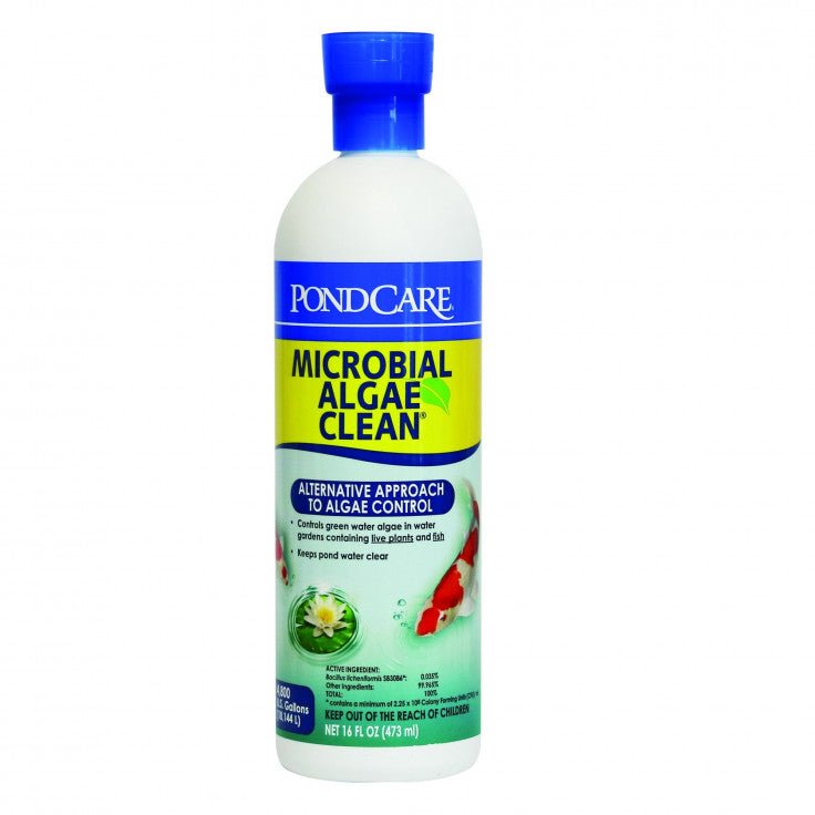 API POND MICROBIAL ALGAE CLEAN, 16 OZ - Shopivet.com