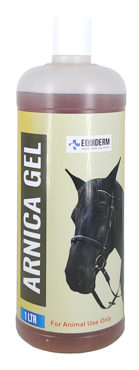 ARNICA GEL 1 Liter - Shopivet.com
