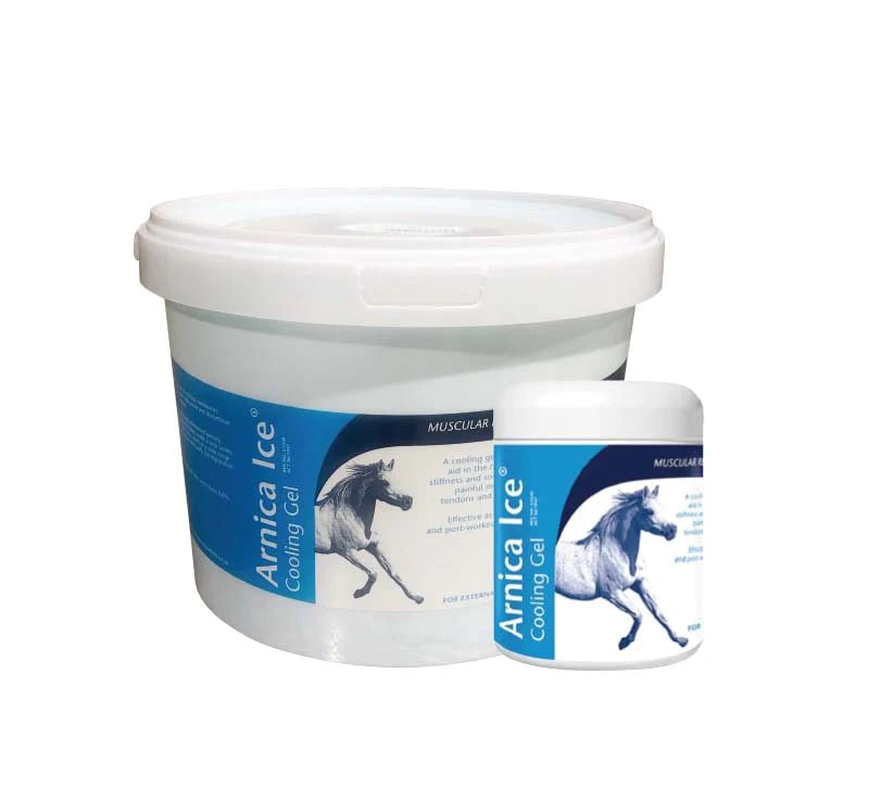 Arnica Ice Cooling Gel 2.5 kg - Shopivet.com