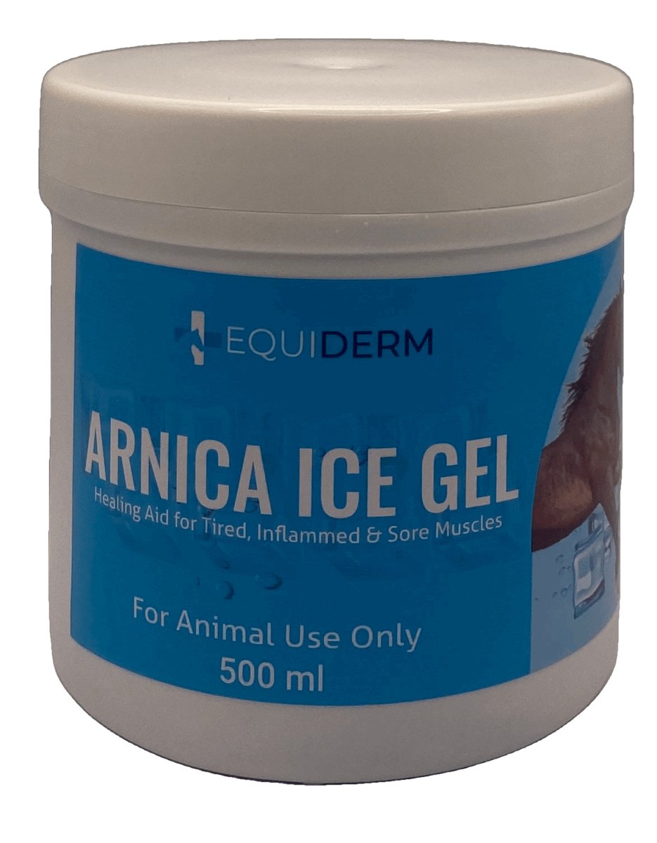 ARNICA ICE GEL 500ml - Shopivet.com