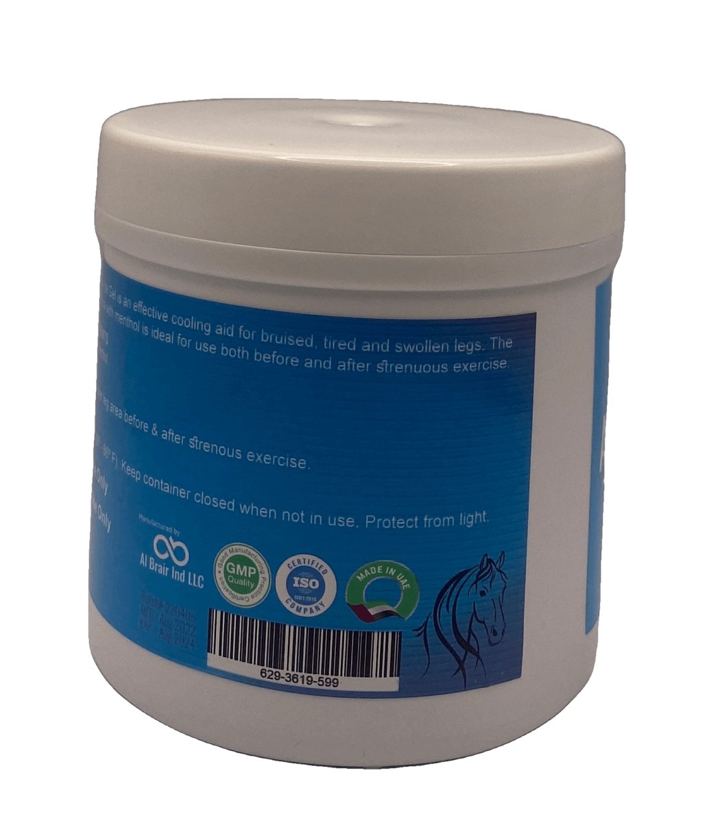 ARNICA ICE GEL 500ml - Shopivet.com