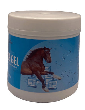 ARNICA ICE GEL 500ml - Shopivet.com