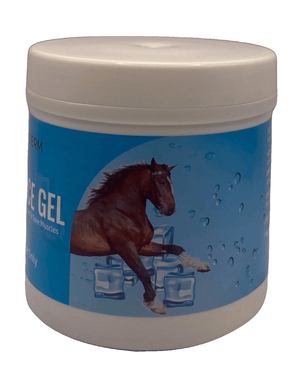 ARNICA ICE GEL 500ml - Shopivet.com