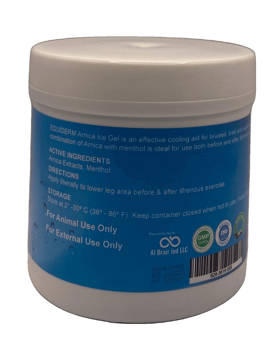 ARNICA ICE GEL 500ml - Shopivet.com