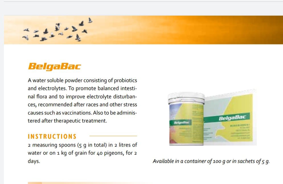 BelgaBac 10 sachets - Shopivet.com