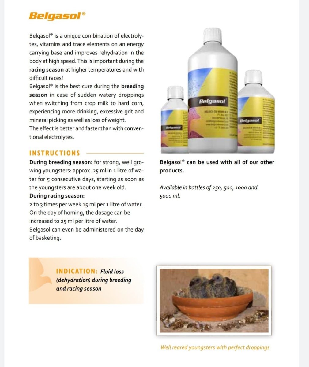 Belgasol 250 ml - Shopivet.com