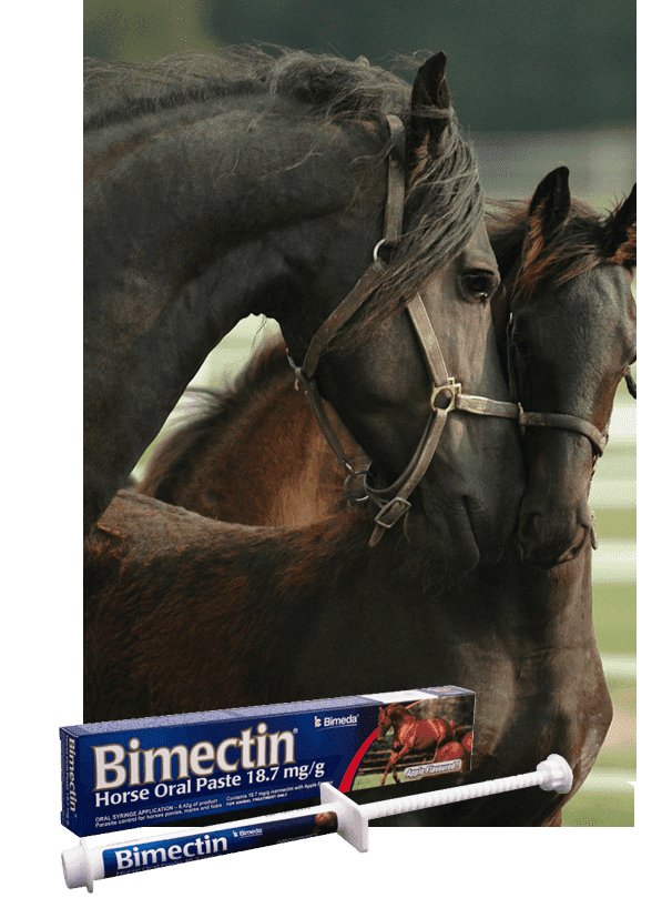 Bimectin - Shopivet.com