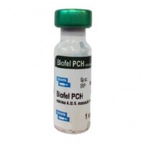 BIOFEL PCH 1 Dose - Shopivet.com