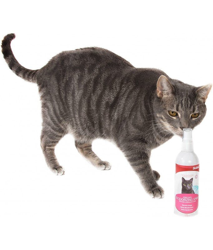 Bioline Deodorizing spray Cat 175ml - Shopivet.com