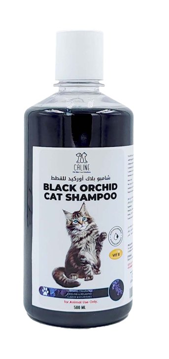 BLACK ORCHID CAT SHAMPOO 500ML - Shopivet.com