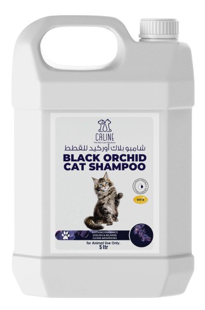 black orchid cat shampoo 5Liter - Shopivet.com