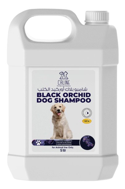 black orchid dog shampoo 5Liter - Shopivet.com