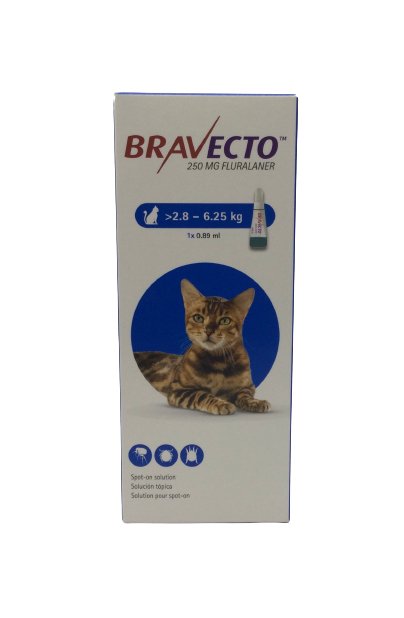 BRAVECTO SPOT ON CAT 250mg - Shopivet.com