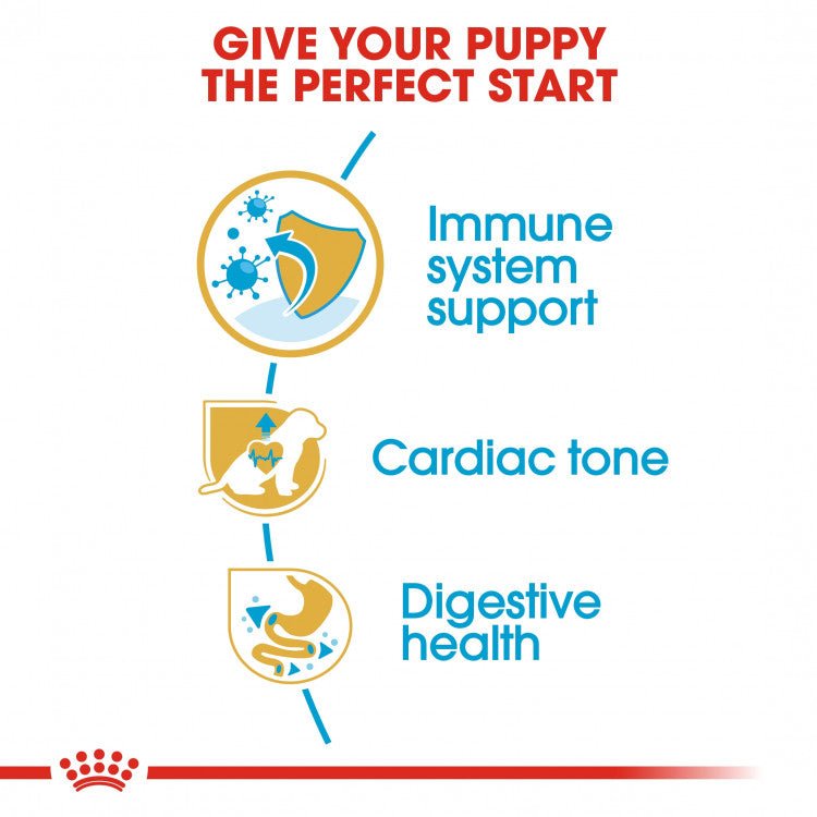 Breed Health Nutrition Cavalier King Charles Puppy 1.5 KG - Shopivet.com