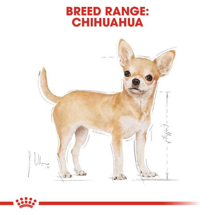 Breed Health Nutrition Chihuahua Adult 1.5 KG - Shopivet.com