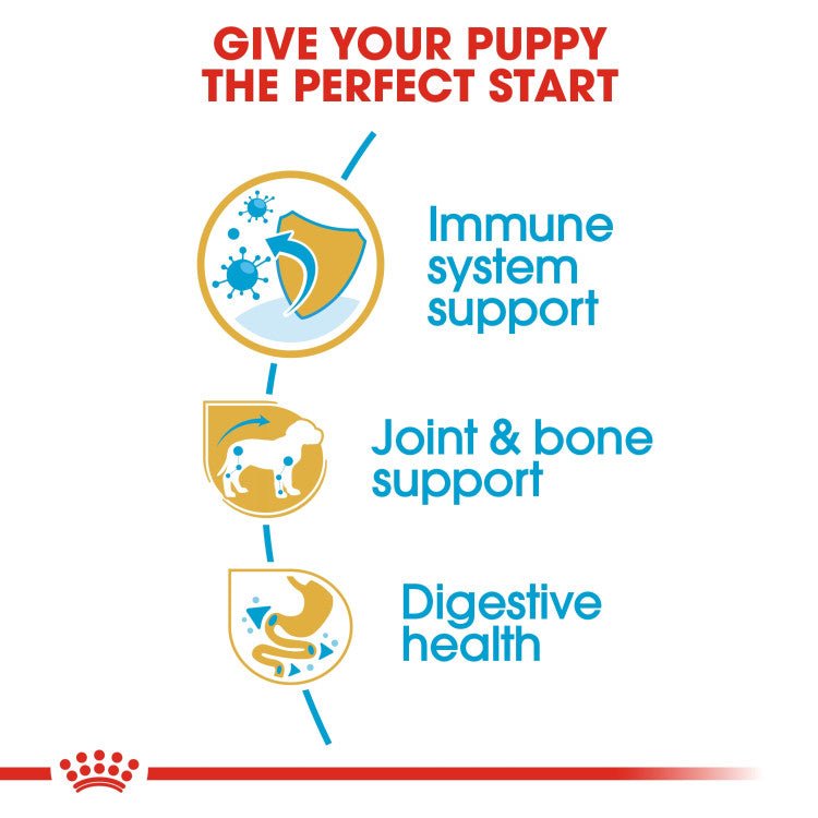 Breed Health Nutrition Dachshund Puppy 1.5 KG - Shopivet.com