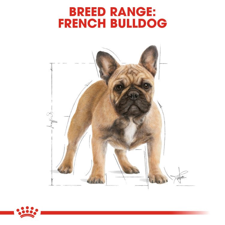 Breed Health Nutrition French Bulldog Adult 3 KG - Shopivet.com