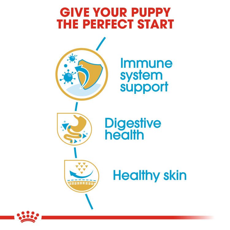 Breed Health Nutrition French Bulldog Puppy 3 KG - Shopivet.com